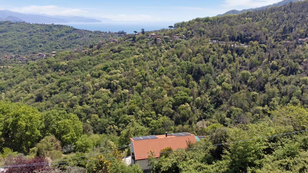 Appartement Monolocale Fattorialmare Gialla Camogli