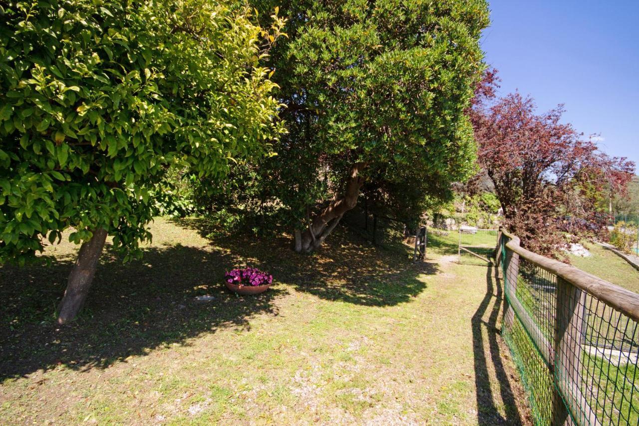 Apartment Monolocale Fattorialmare Gialla *